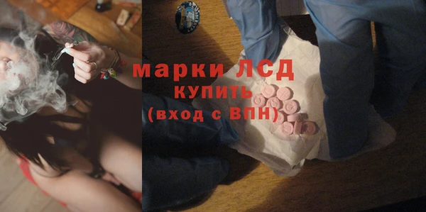 СК Горнозаводск