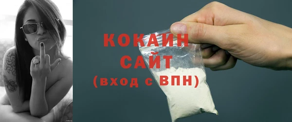 твердый Горняк