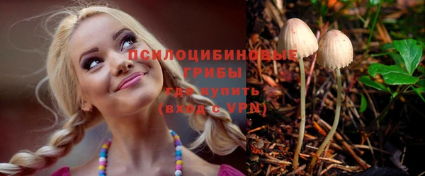 СК Горнозаводск