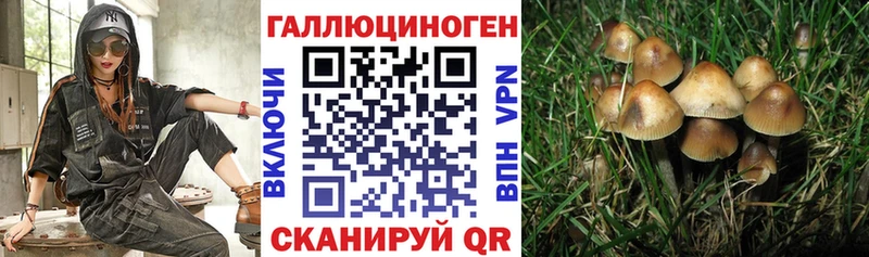 Псилоцибиновые грибы мухоморы  Купить закладки  Сурск 